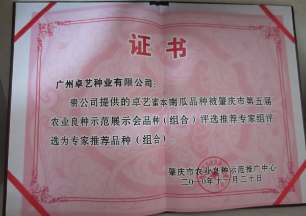 广州卓艺 蜜本南瓜种子 农科院老专家选育  中熟强烈推荐 南瓜种子 40克罐装