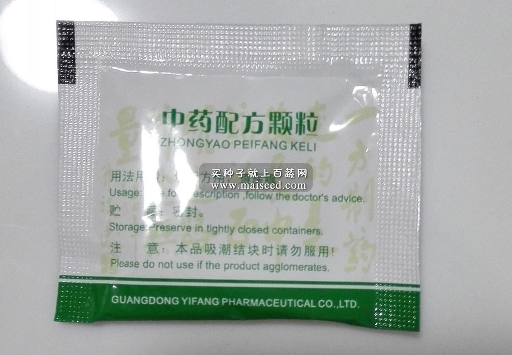 大叶荆芥种子 夏季难得罕见稀有品种 叶带有奇特的异香 荆芥种子 亩产量3000公斤