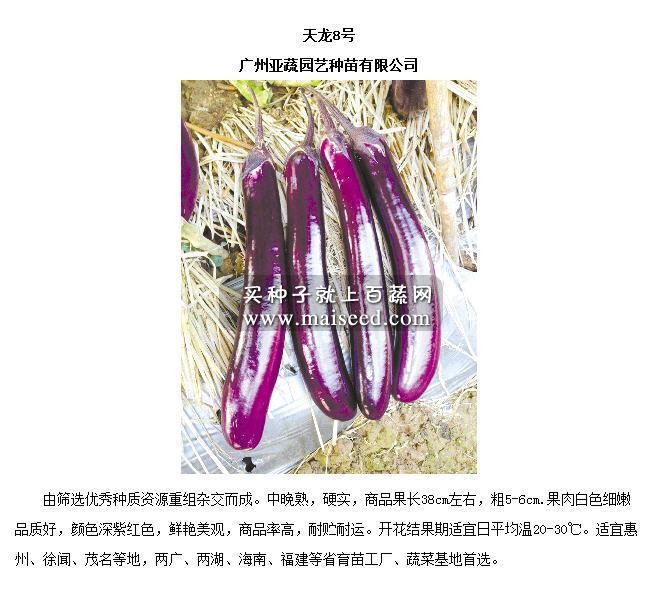 广州亚蔬 天龙八号紫红茄种子 颜色特别鲜亮 耐储耐运 果条深紫 亮丽 果肉细嫩 紫红茄种子 5克