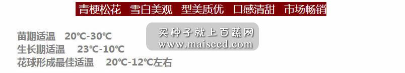台湾长胜 长胜85天F1青梗松花菜种子 耐寒耐湿 生长强健 产量高 松花菜种子 10克装