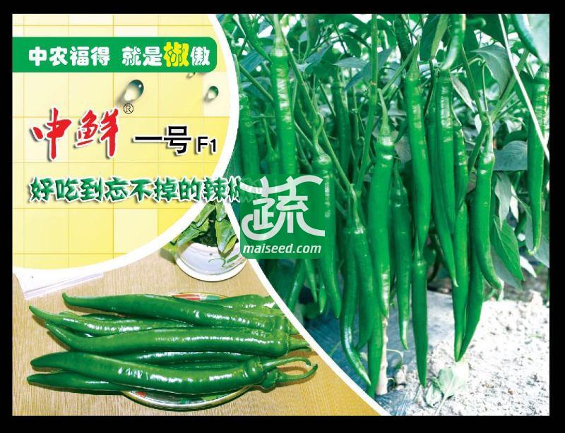 中国农科院中农福得 中鲜一号辣椒种子 全球独创 创新型品种，强力推荐 品质特优 口感极佳 辣椒种子 1000粒装