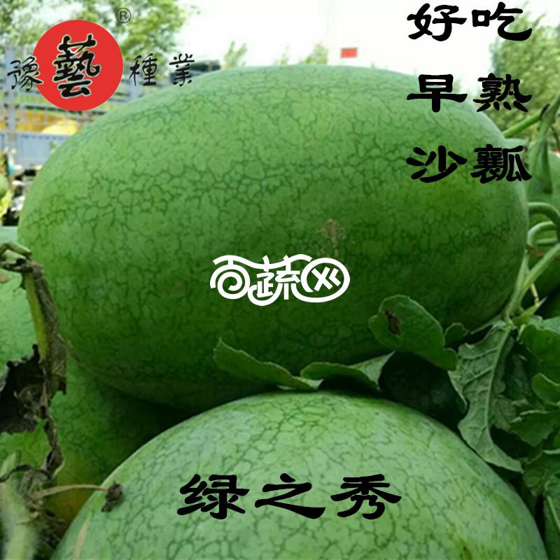 豫艺种业 极品绿之秀西瓜种子 抗病 高产 含糖量高 口感特爽脆 西瓜种子 1000粒装
