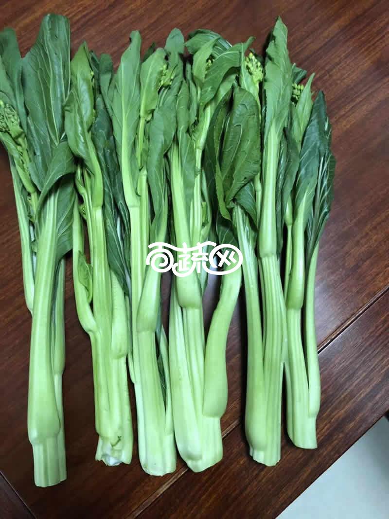 连州丰裕 丰裕3号连州菜心 杂交一代 主菜心粗大 适温期播种后60天左右采收 可连续采收3-5次 脆嫩爽甜 产量高 10克装 菜心种子