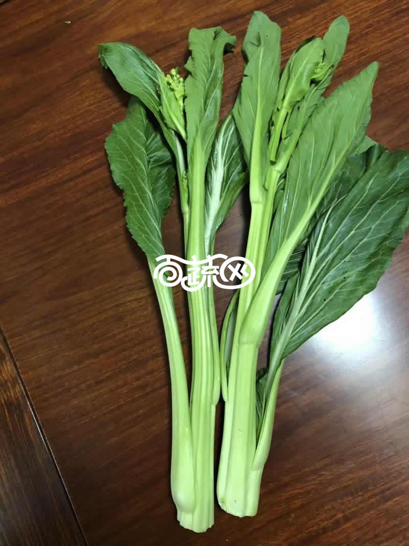 连州丰裕 丰裕3号连州菜心 杂交一代 主菜心粗大 适温期播种后60天左右采收 可连续采收3-5次 脆嫩爽甜 产量高 10克装 菜心种子